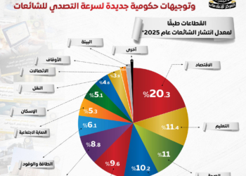 جهود مواجهة الشائعات في 2025..الاقتصاد والتعليم والصحة الأكثر استهدافًا