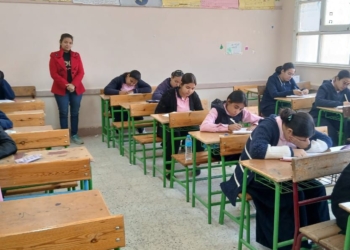 حل امتحان الجبر والإحصاء للصف الثالث الإعدادي 2026 الدقهلية