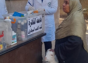 رئيس جامعة القاهرة يستعرض تقريرا عن نتائج أعمال القافلة التنموية للجامعة بقرية المنوات