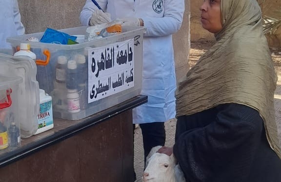 رئيس جامعة القاهرة يستعرض تقريرا عن نتائج أعمال القافلة التنموية للجامعة بقرية المنوات