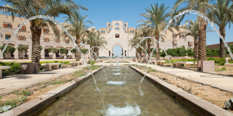 اختيار الجامعة الأمريكية بالقاهرة ضمن أفضل الجامعات الخضراء في العالم لعام 2026