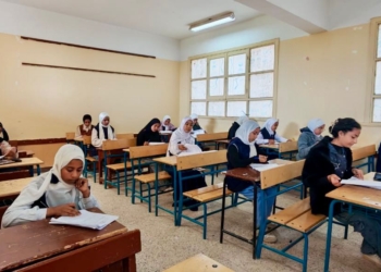 حوّل المذاكرة للعبة.. 7 خطوات نفسية تجعل الدراسة ممتعة بدلًا من عبء ثقيل