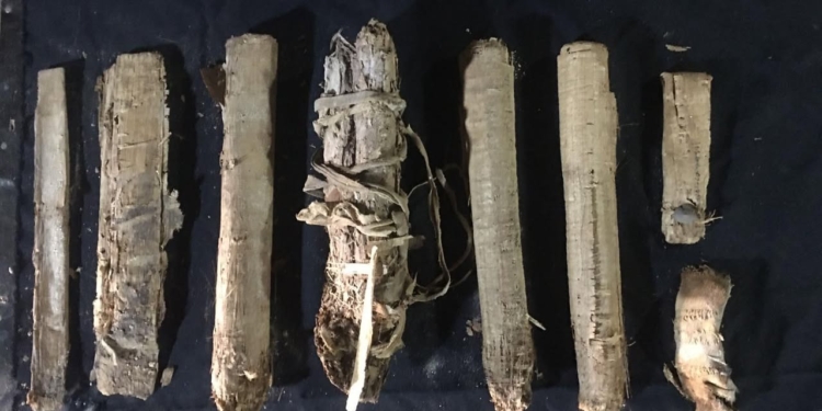 العثور على “خبيئة من التوابيت الملونة لمنشدي آمون” وثماني برديات نادرة من عصر الانتقال الثالث بالقرنة بالأقصر