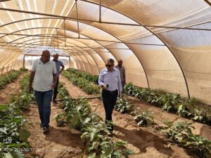 بحوث الصجراء يدعم زراعة حلايب وشلاتين