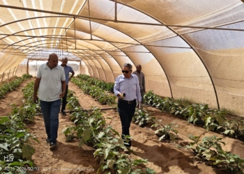 بحوث الصجراء يدعم زراعة حلايب وشلاتين