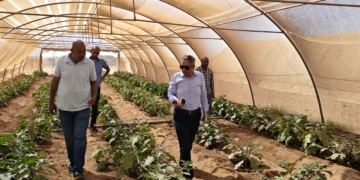 بحوث الصجراء يدعم زراعة حلايب وشلاتين