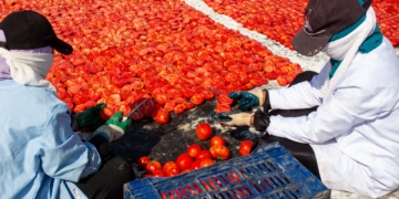 المعمل المركزى يحلل السلع الغذائية للجهات الرقابية