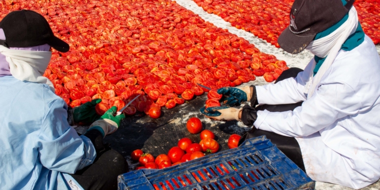 المعمل المركزى يحلل السلع الغذائية للجهات الرقابية