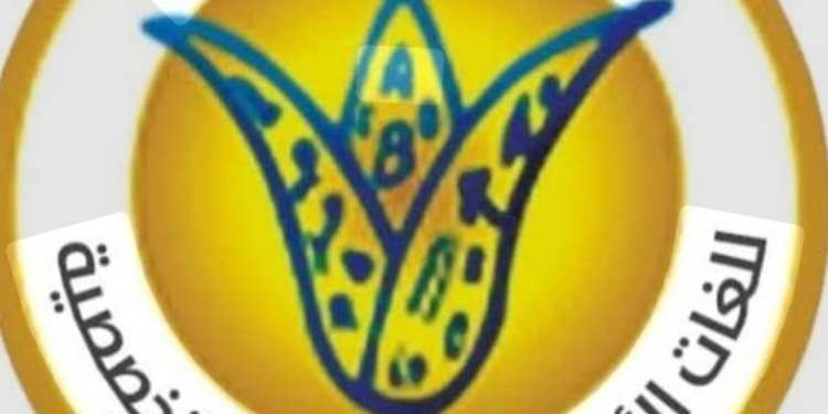 رئيس جامعة القاهرة يستعرض تقريراً عن أهم أنشطة مركز اللغات الأجنبية والترجمة التخصصية