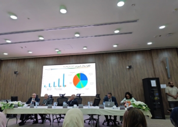 الدكتور أحمد حمد: ماجستير بيني وشراكات أمريكية وكندية تقود جامعة مصر للمعلوماتية نحو العالمية