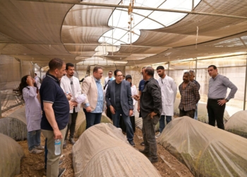 رئيس جامعة القاهرة يتفقد محطة التجارب والبحوث الزراعية بكلية الزراعة لمتابعة التشغيل ورفع كفاءة المحطة وتعظيم دورها التعليمي والإنتاجي
