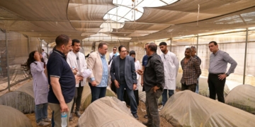 رئيس جامعة القاهرة يتفقد محطة التجارب والبحوث الزراعية بكلية الزراعة لمتابعة التشغيل ورفع كفاءة المحطة وتعظيم دورها التعليمي والإنتاجي