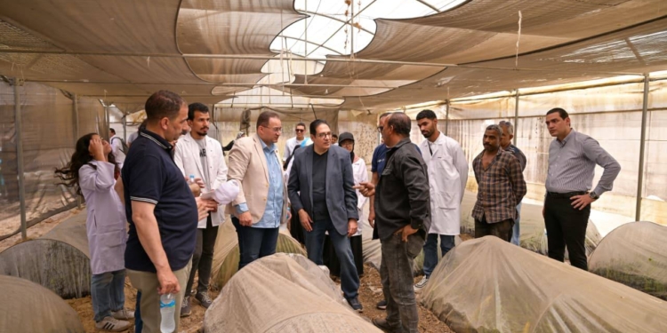 رئيس جامعة القاهرة يتفقد محطة التجارب والبحوث الزراعية بكلية الزراعة لمتابعة التشغيل ورفع كفاءة المحطة وتعظيم دورها التعليمي والإنتاجي