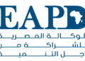 السياسة الخارجية المصرية …ما بين الحضور السياسي والاستثمار في الإنسان